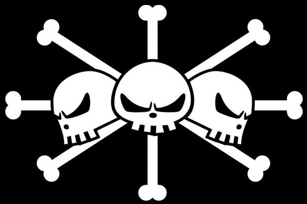 One Piece : Que signifie le drapeau de Barbe Noire ?