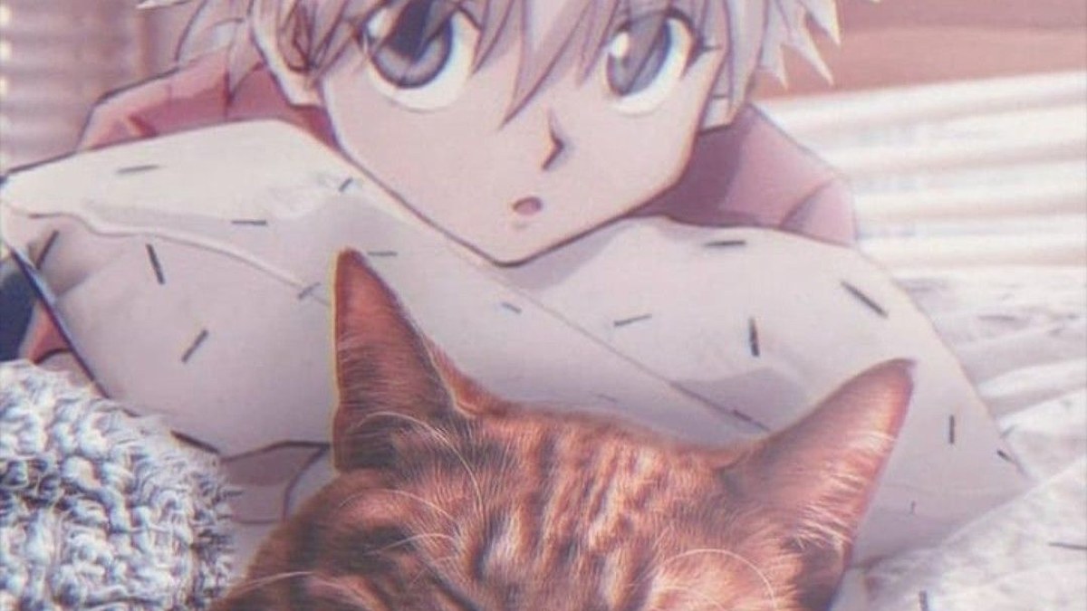 Hunter × Hunter : Killua est-il vraiment un chat ?
