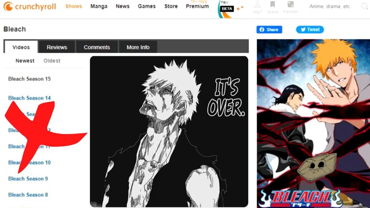 Pourquoi Crunchyroll a supprimé Bleach ? Kimhit