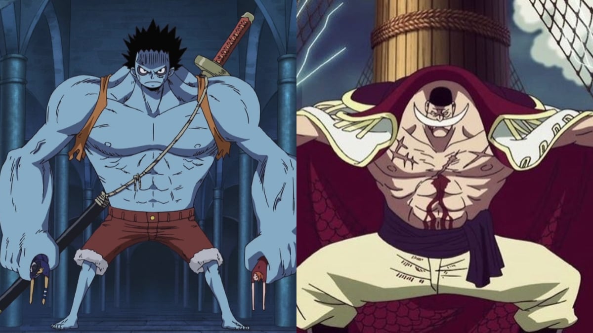 Luffy le Cauchemar vs Barbe Blanche : Qui gagnerait dans un combat ?